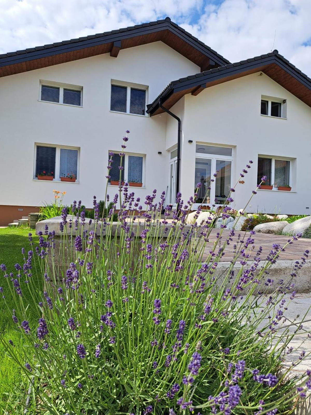 Žiar Apartmány 43 Kültér fotó